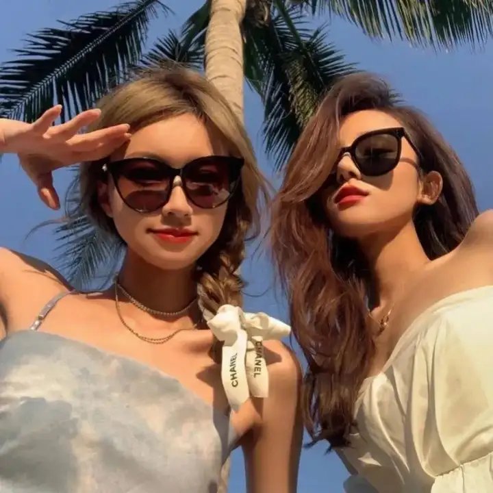 追星星的人第三季